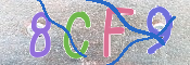CAPTCHA (Şahıs Denetim Kodu) Resmi
